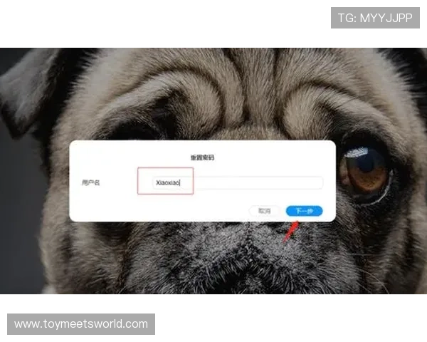 新爱手机登录密码忘记了怎么办详细步骤快速找回指南